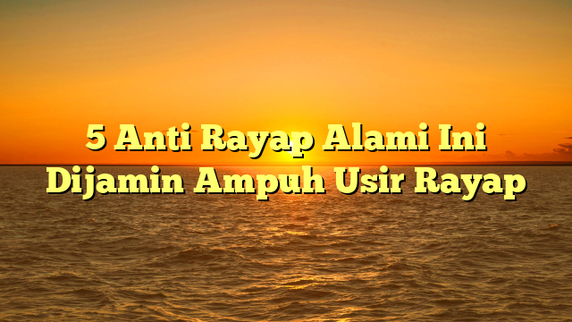 5 Anti Rayap Alami Ini Dijamin Ampuh Usir Rayap